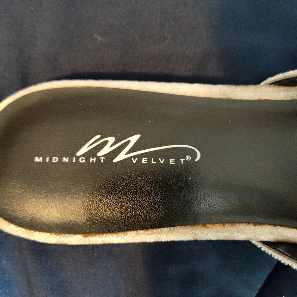 Midnight Velvet Mules